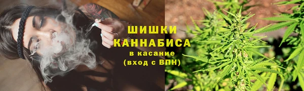 mix Богородицк