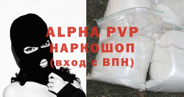 дмт Бородино