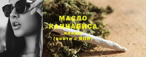 дмт Бородино