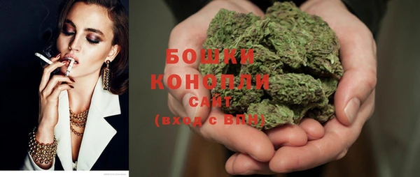 mix Богородицк