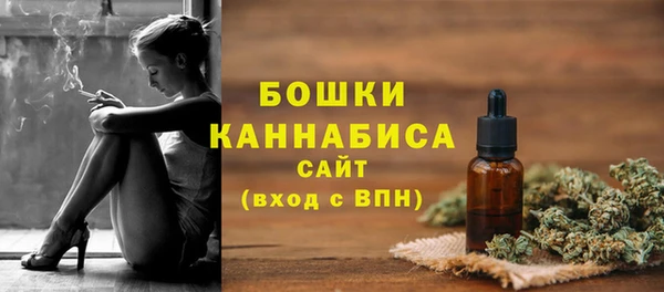 mix Богородицк