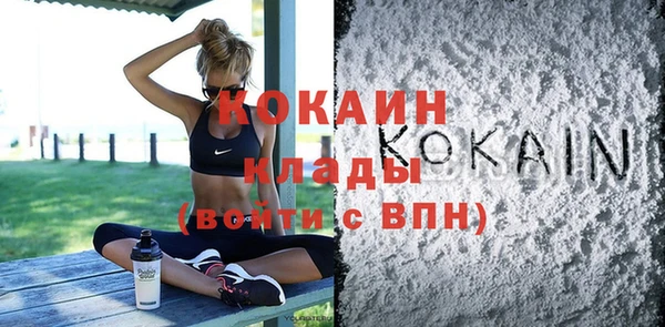mix Богородицк