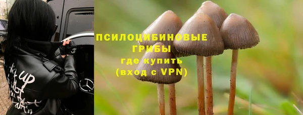 дмт Бородино