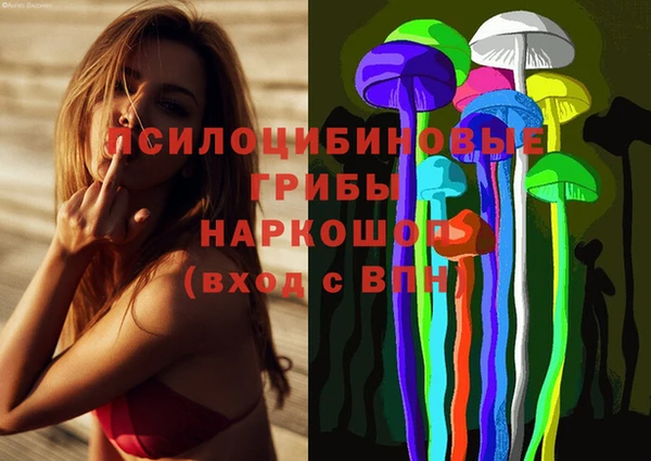 дмт Бородино