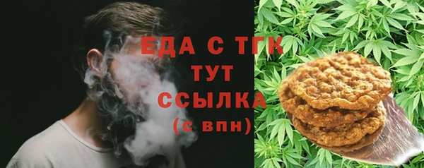 дмт Бородино